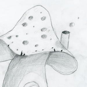 Mushroom house